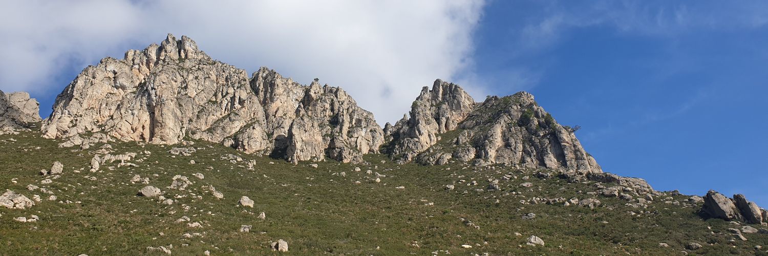 valls_magda's profile banner image