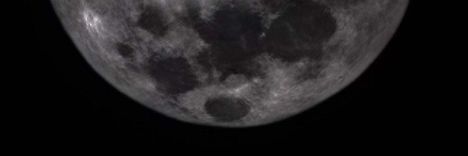 what_to_forget's profile banner image