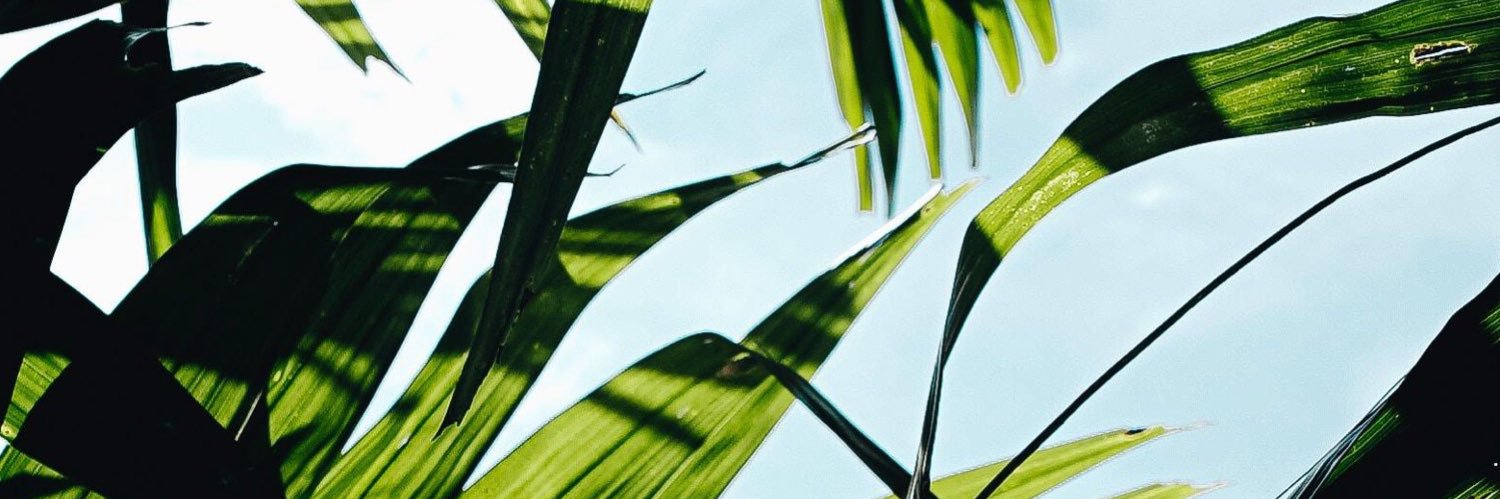 Sam777de's profile banner image
