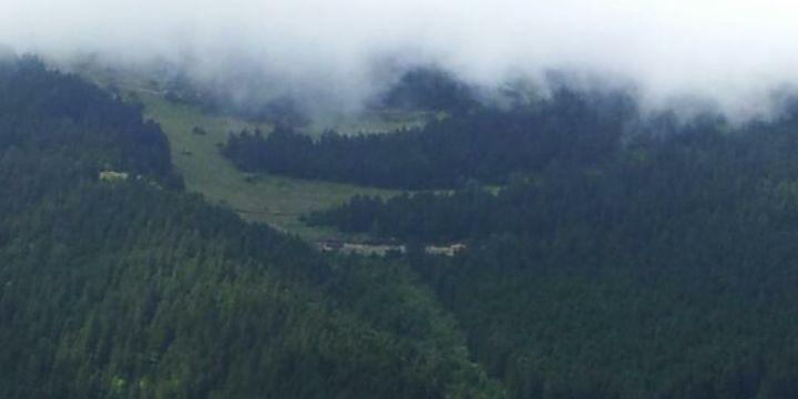 الصقر العالمي banner