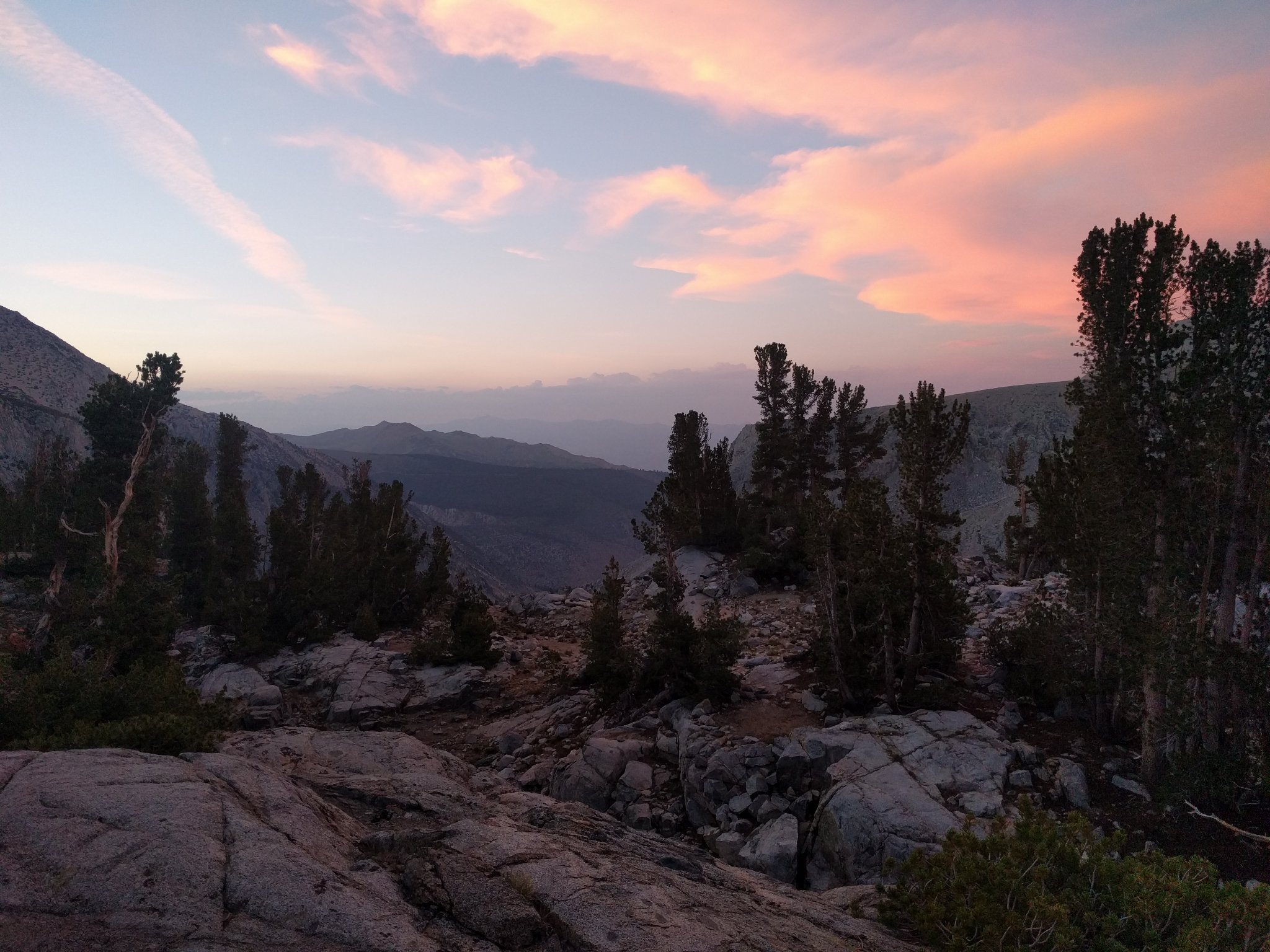 Samantha Standring banner