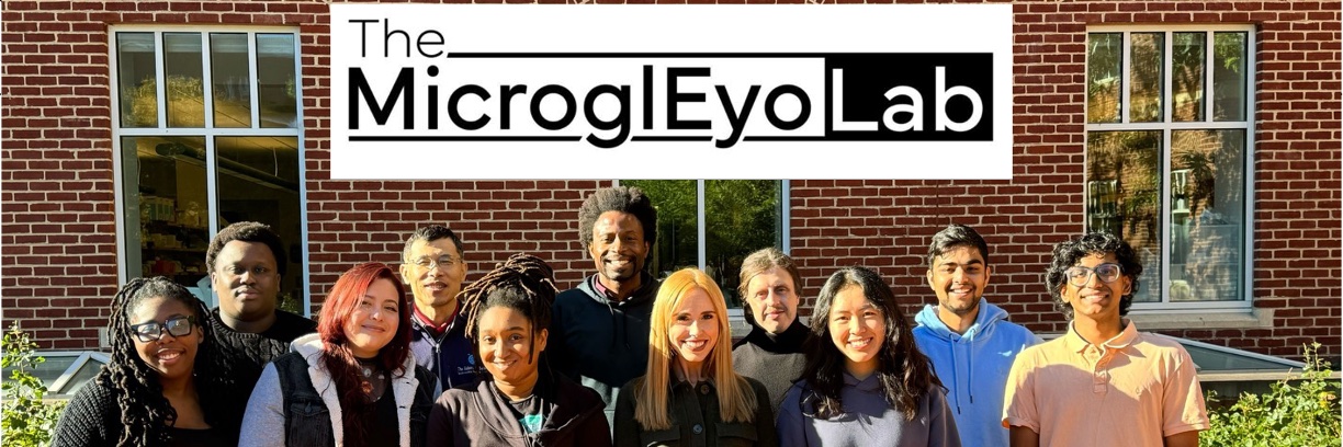 Eyo's banner