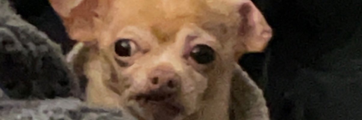 eljugo07's profile banner image
