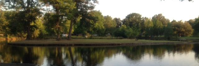 CindyMunnCEO's profile banner image