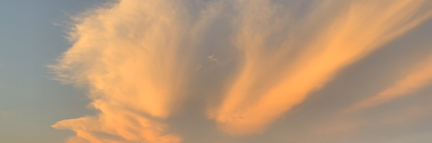 himawarisnuflo's profile banner image