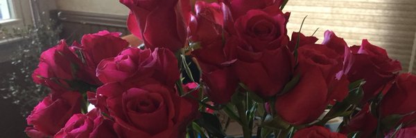 StacyMuir3 Profile Banner