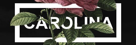 carrritow's profile banner image