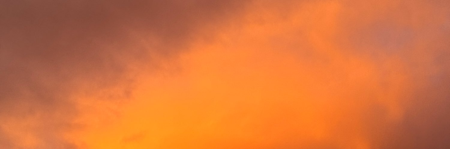 alex banner