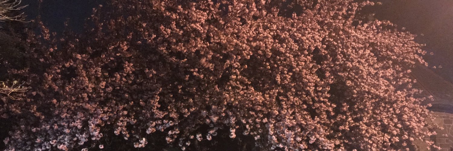 Bridget Reilly Beauchamp banner