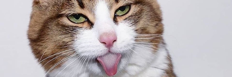 ebrubstn's profile banner image
