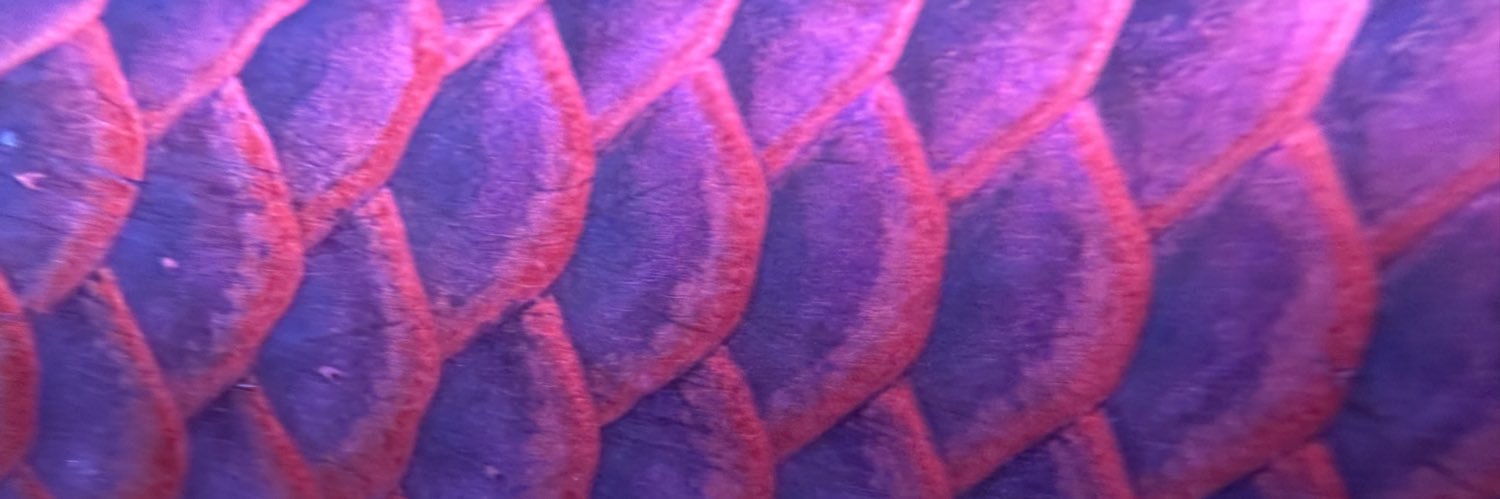 105_ki's profile banner image