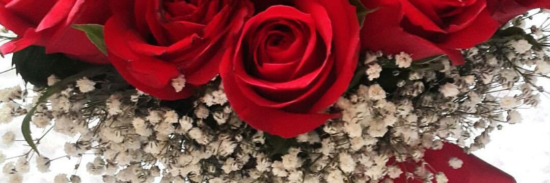 hknrabia's profile banner image