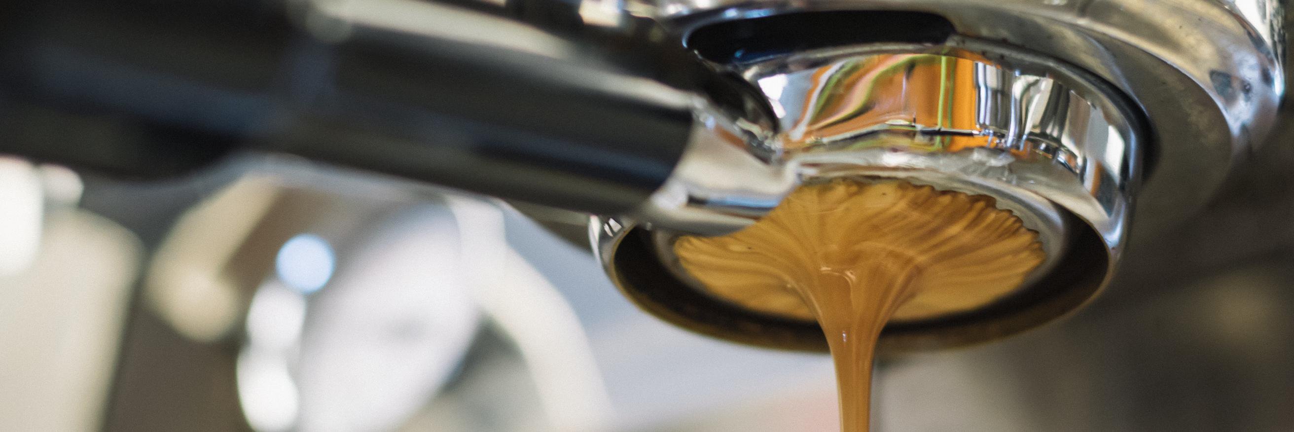 redroostercoffee banner