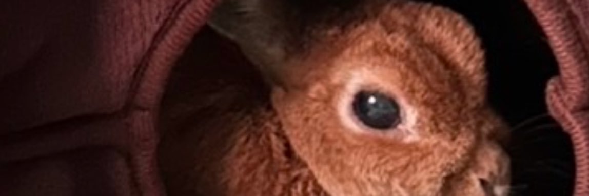 tm00115's profile banner image