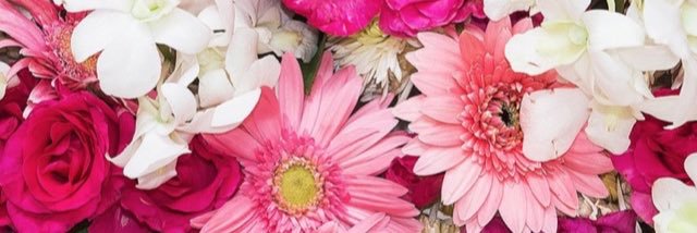 katy_stanek's profile banner image