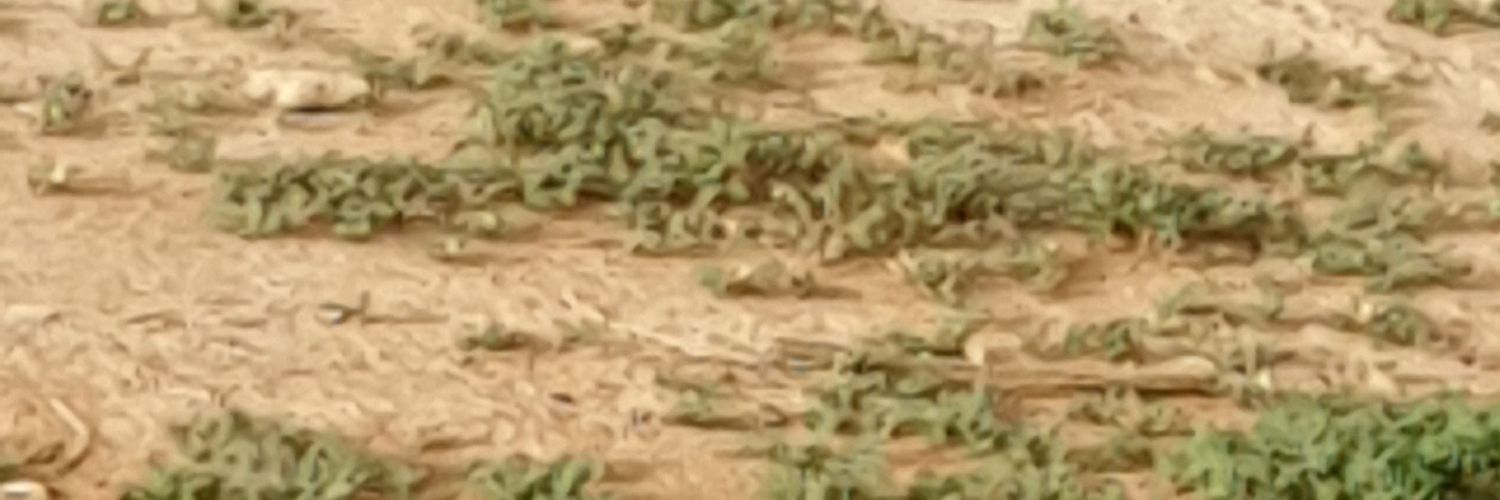 ابو إبراهيم banner