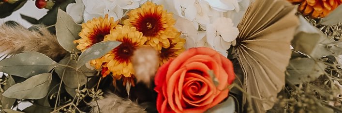 SierraRiann's profile banner image