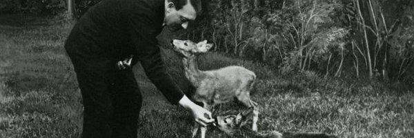 imar49764141 Profile Banner