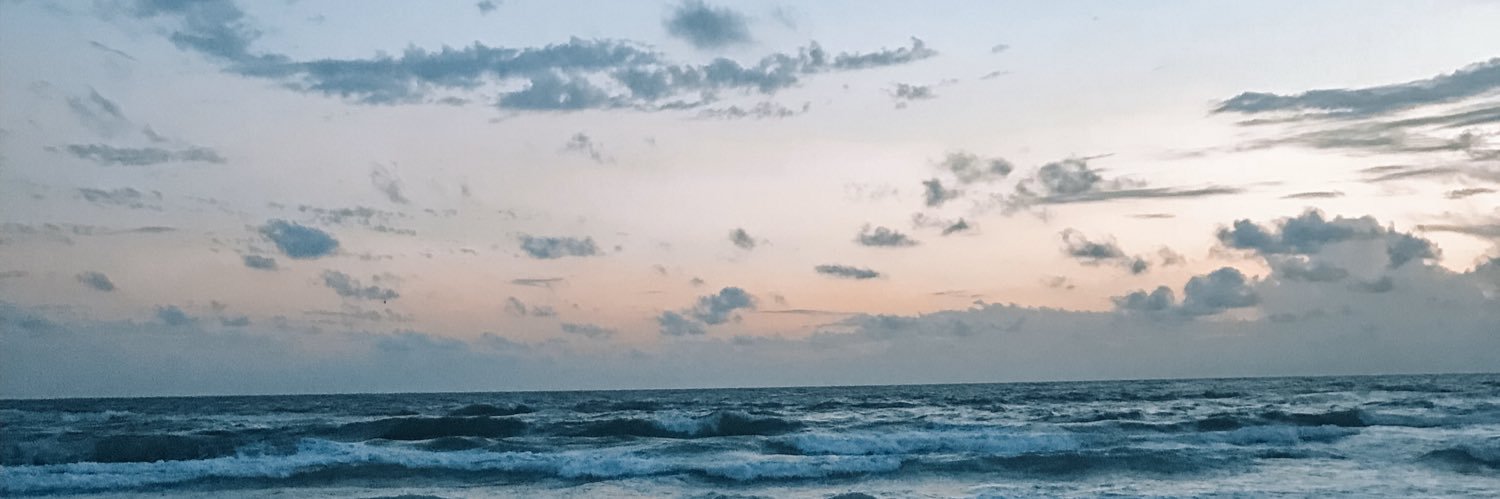 lexisiegler's profile banner image