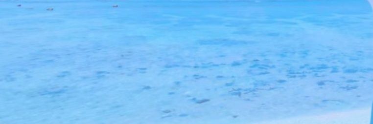 namjoonsflatass's profile banner image