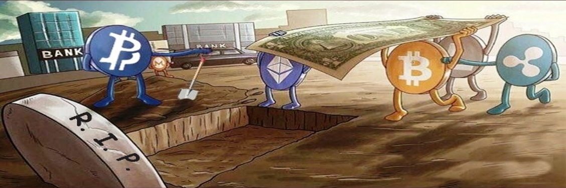 CryptoBunana's profile banner image