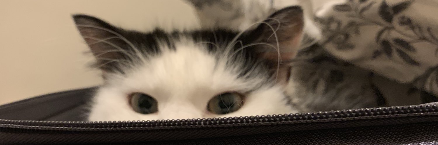 jessicabarrow_'s profile banner image