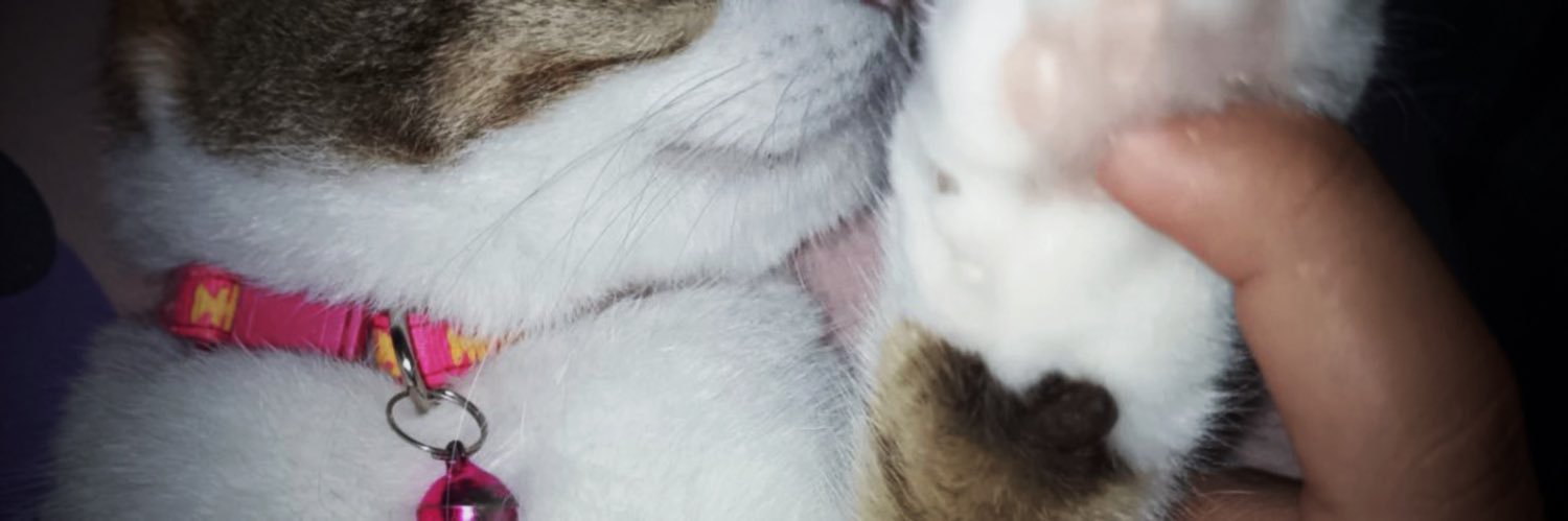 myyarosee's profile banner image