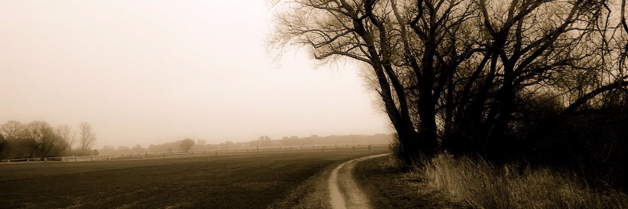 Momsel88's profile banner image