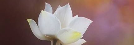 abbysmithh's profile banner image