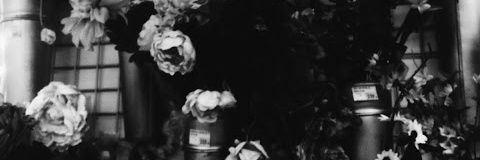 mahaminsha's profile banner image