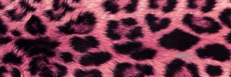 .'s banner