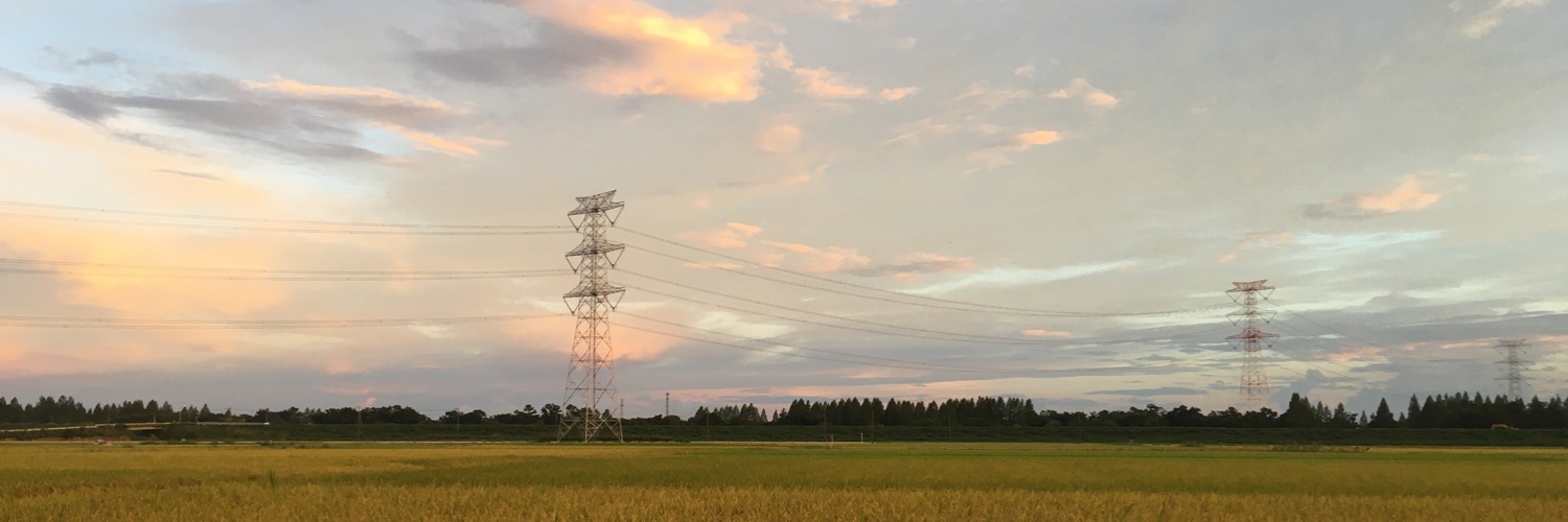 森野うさぎ banner