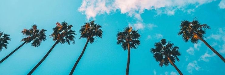 Daniarockz's profile banner image
