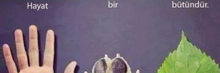 elif_yaa's profile banner image