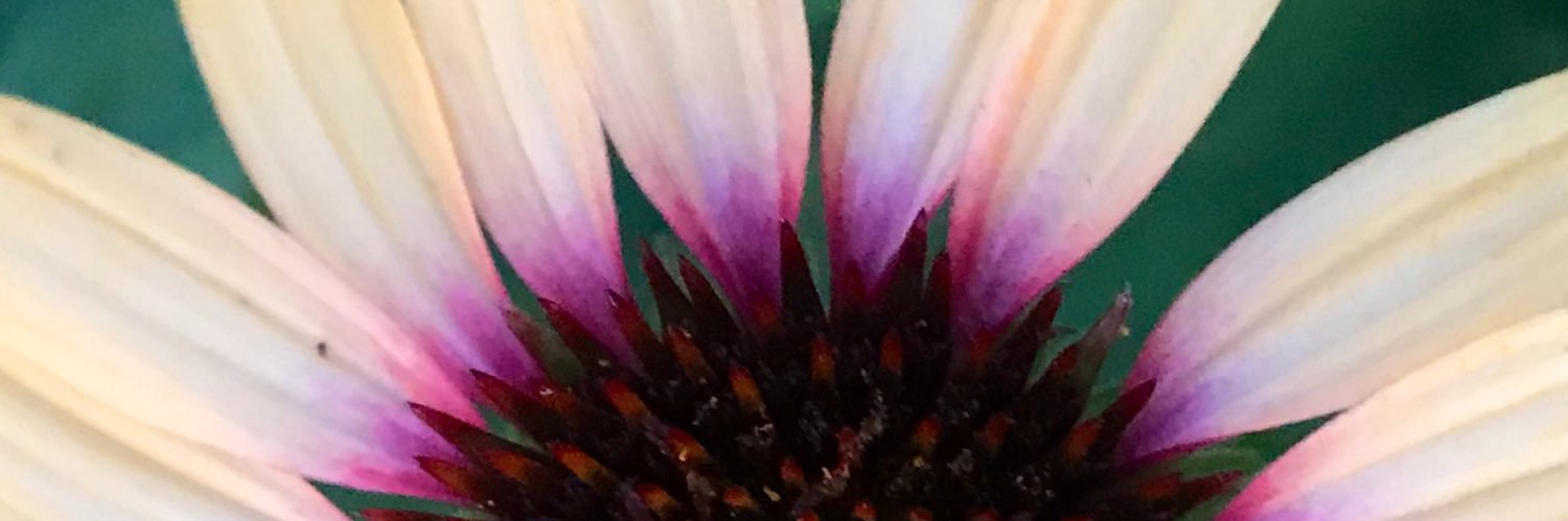 AL_Bradley's profile banner image