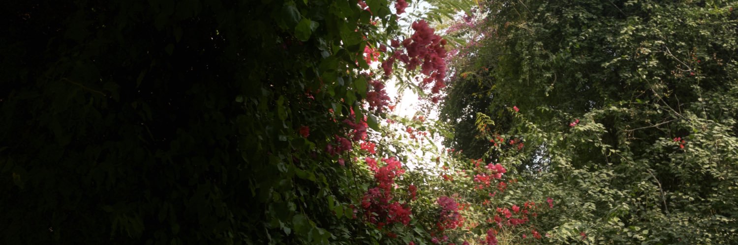 am banner