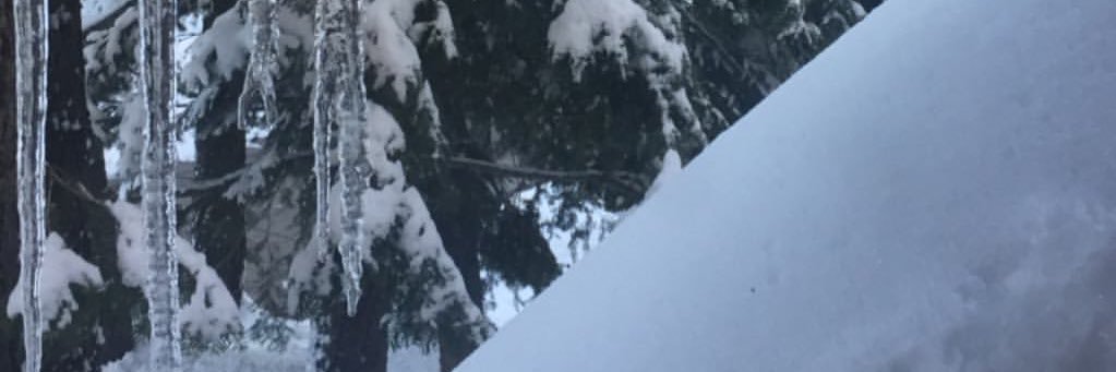 van_pierci's profile banner image