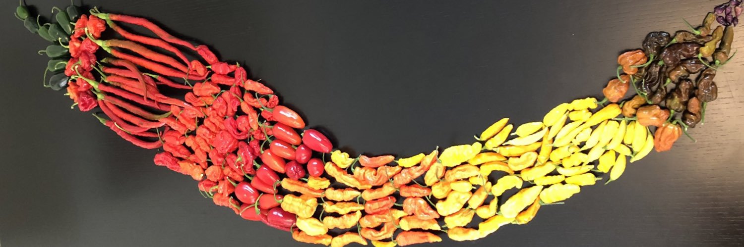 Sławek Wikariak banner