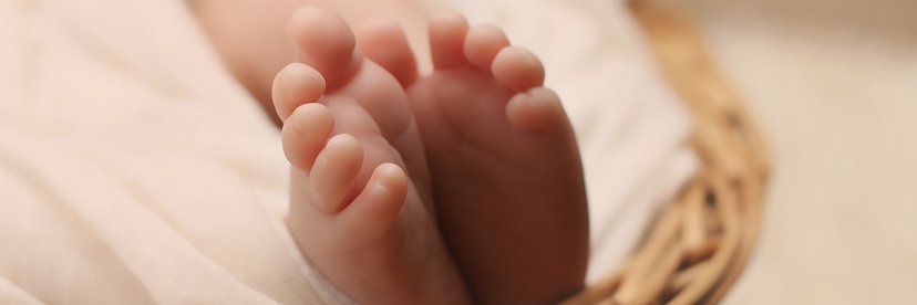 Right to Life of Northeast Ohio banner