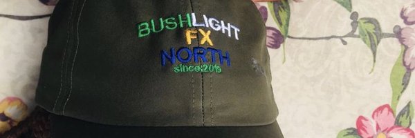 BushLightfx Profile Banner