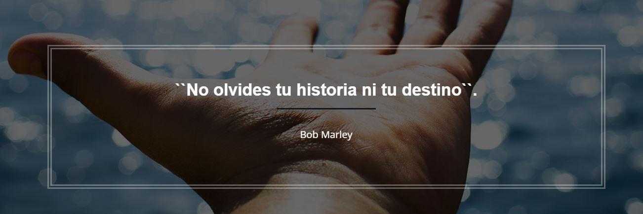Entreno Luego Emprendo banner