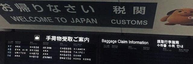 baolooh's profile banner image