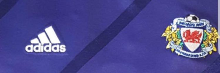 Neaudd wen banner
