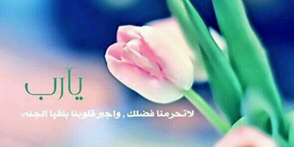 mohd300r's profile banner image