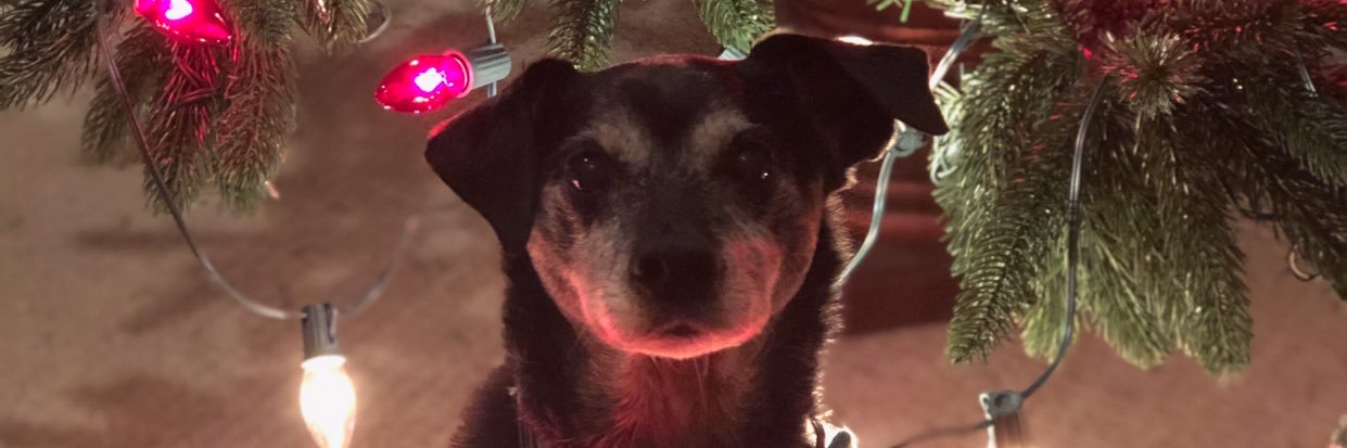 Madison Stone banner