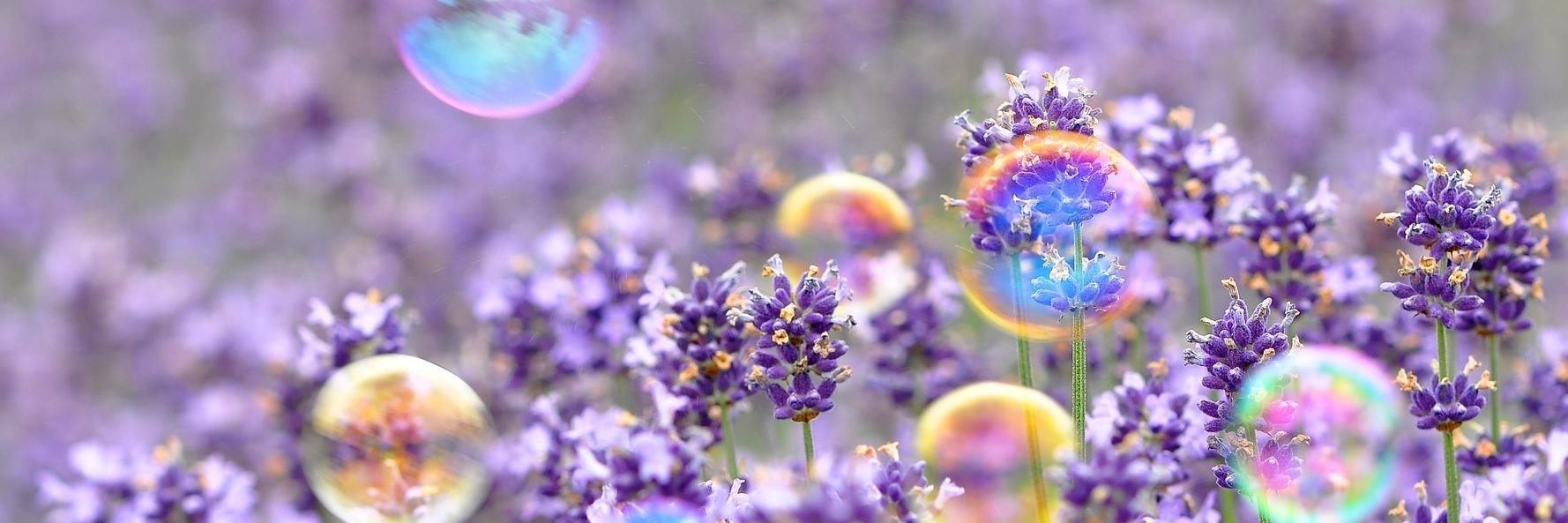 Retired CHS Librarian banner