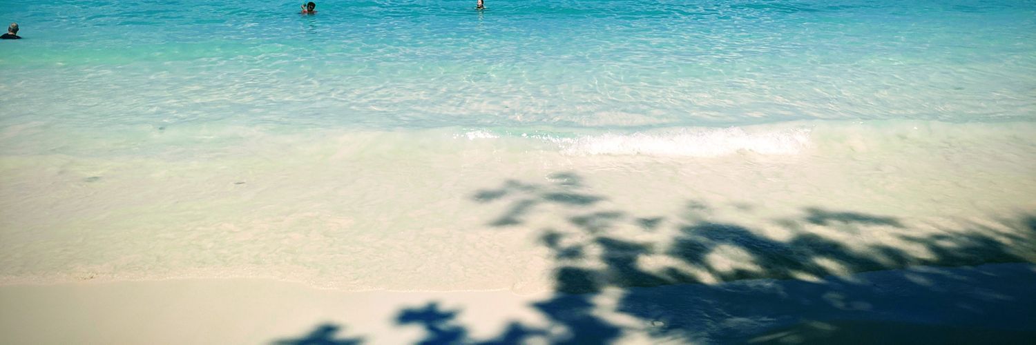 LauraEmilyMac's profile banner image