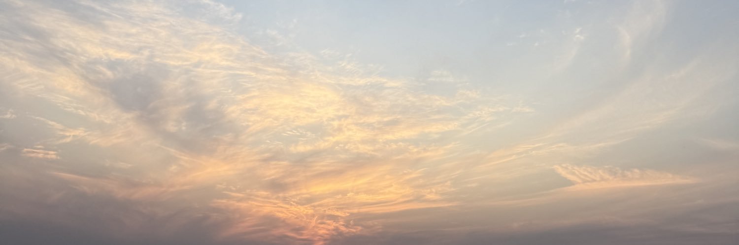 tamednuts's profile banner image