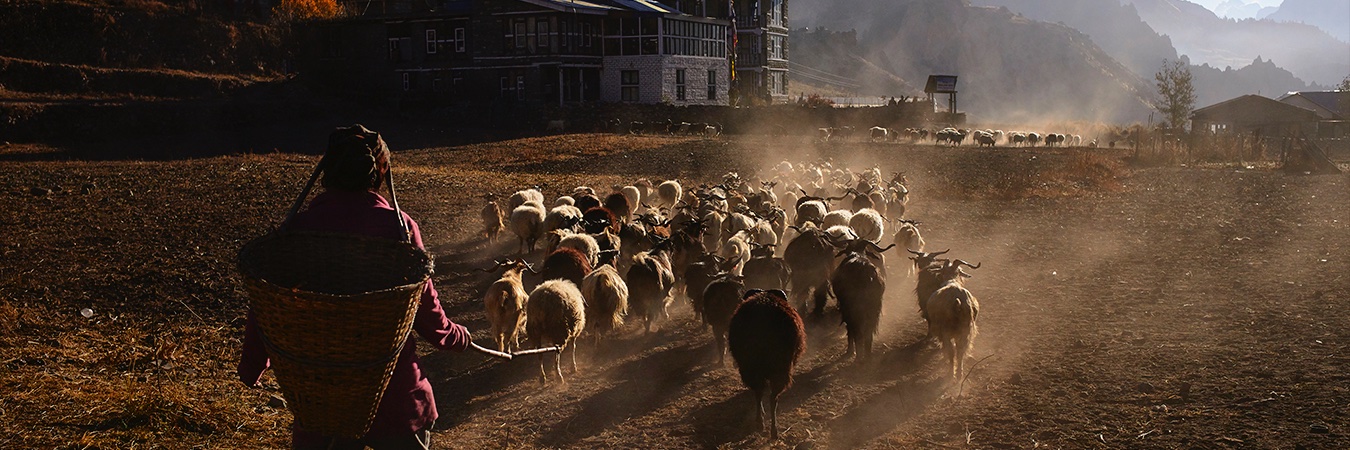 Marc Castellet banner