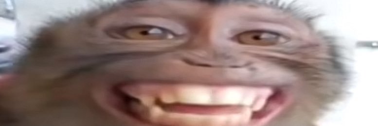 garliccsav's profile banner image